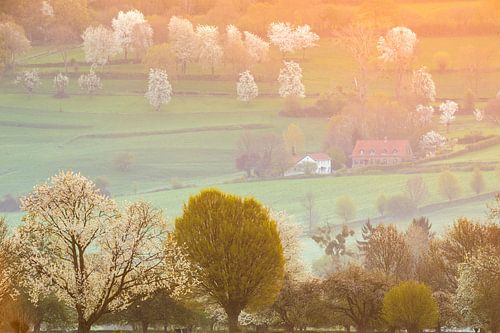 Hilly landscape of South Limburg by Bob Luijks