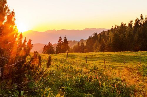 Almweide met zonsondergang 