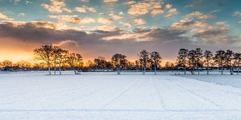 Golden edge to winter 2