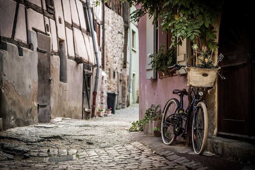 Le vélo, Eguisheim par Michiel Mulder