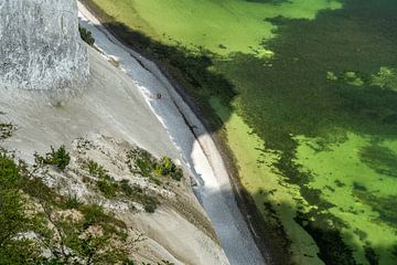chalk cliffs Moens Klint, Moen island, Denmark by Peter Schickert