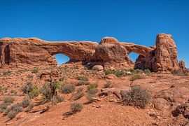 Arches National Park von Richard van der Woude