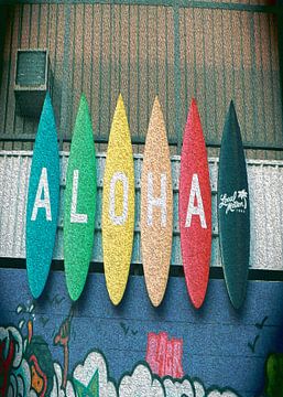 Surfen in Hawaï van irvan halim