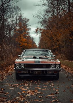 AMC Jevelin van gil an