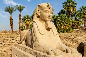 Die Sphinx von Luxor