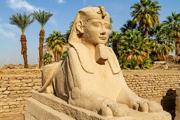 De Sfinx van Luxor van Roland Brack