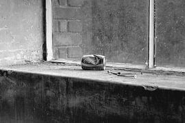 Cola can in the windowsill by Carla van Zomeren