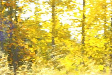 Le jaune de Van Gogh dans les bouleaux de Finlande sur Susan Hol