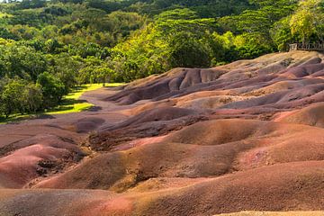 Chamarel Mauritius by Peter Schickert