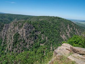 Uitzicht op het Harz Natuurpark in de zomer van Animaflora PicsStock