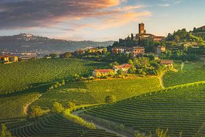Das Dorf Barbaresco und die Weinberge der Langhe. Italien
