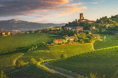 Barbaresco dorp en Langhe wijngaarden. Italië