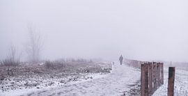 walking the dog in a winter wonderland by Tania Perneel