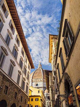 View of the Cathedral of Santa Maria del Fiore in Florence, Itali