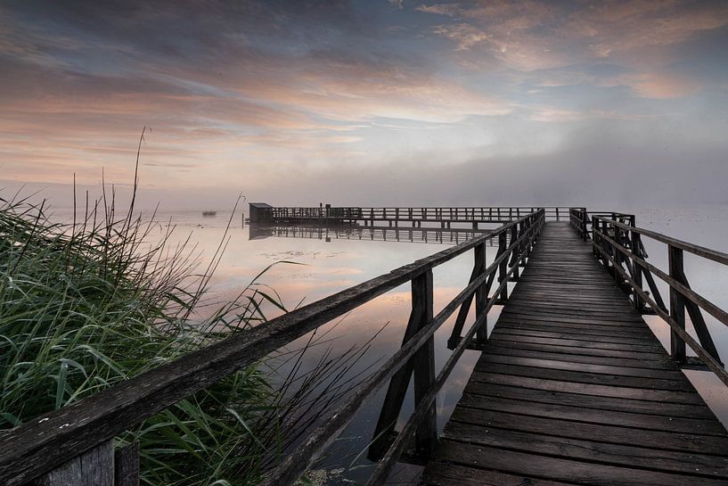 Sunrise at Federsee by Julia Schellig