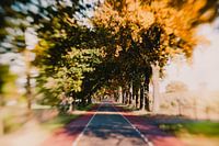 Herfst 