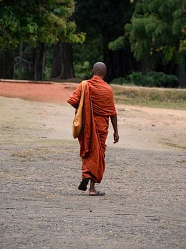 Bhikkhu in traditionele kleding van Lucas De Jong