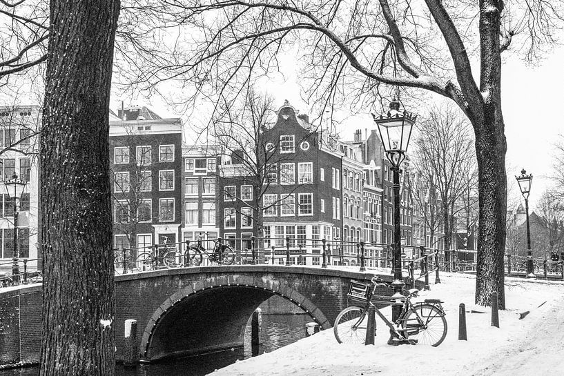 Pulverschnee auf den Bäumen und Straßenlaternen an der Leidsegracht von Suzan Baars