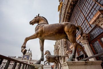 De gouden paarden van de San Marco