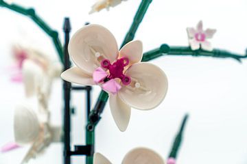 Lego orchidee (close up) van Sonia Alhambra Mosquera