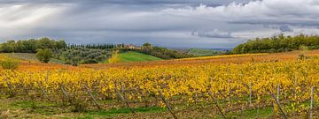 Autumn vineyard in Tuscany - panorama van Teun Ruijters
