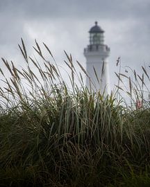 Phare avec herbe ondulante sur Bet Maus