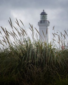 Vuurtoren met wuivend gras van Bet Maus