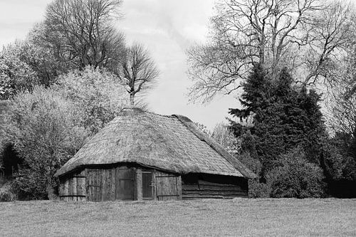 Sheepfold Eempolder blackwhite