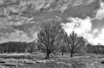 Parc Noorderneg - Maalwater, Heiloo sur Mike Bing