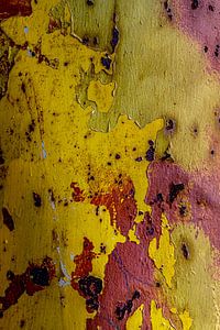 Roest