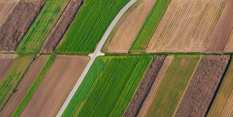 Fields on the Swabian Alb by Werner Dieterich