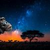 Un chimpanzé regarde un ciel sombre et étoilé dans lequel se trouve une comète. sur Luc V. de Zeeuw
