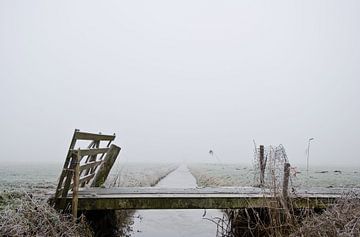 Brug in Hollands bevroren landschap van Niek van Vliet