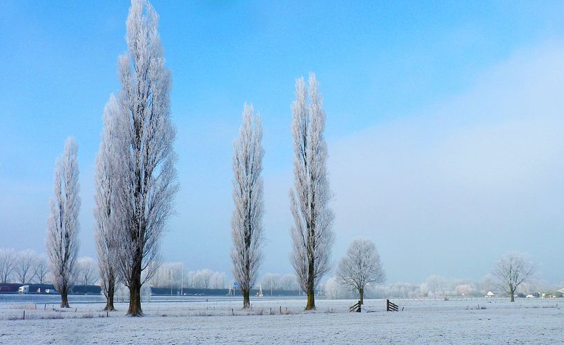 Berijpt landschap by M de Vos