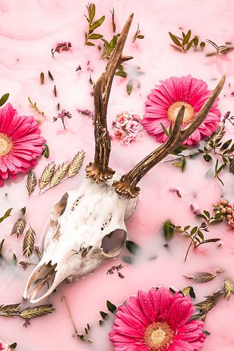 Deer antlers - Modern rural.