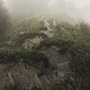 Wanderlust | pad in de mist | reisfotografie | zwitserland van Laura Dijkslag