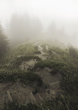 Wanderlust | pad in de mist | reisfotografie | zwitserland van Laura Dijkslag
