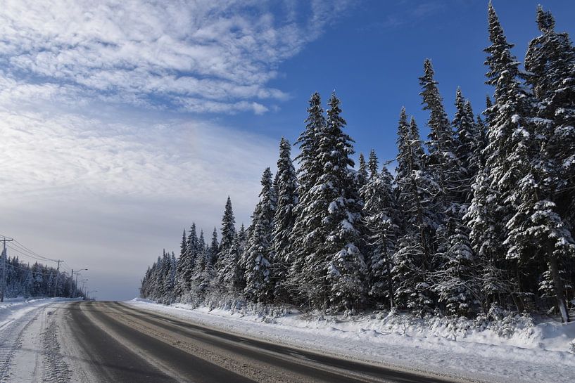 Eine Landstraße im Winter von Claude Laprise