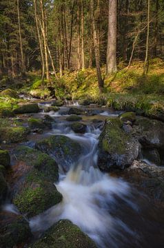 Chute d'eau dans les montagnes du Harz