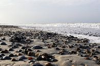 schelpen op het strand van domburg van Frans Versteden thumbnail