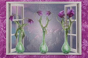 Tulpenliebe
