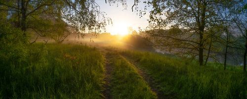 Premiers rayons de soleil sur une prairie au bord de l'Ems comme panorama