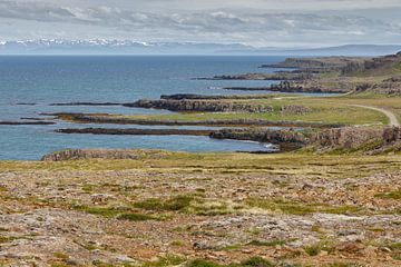 De IJslandse kustlijn bij de westfjords