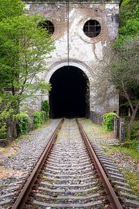 Tunnel ferroviaire abandonné. sur Roman Robroek - Photos de bâtiments abandonnés