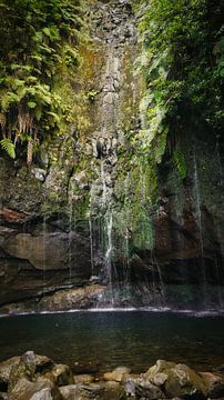 Bossen en Watervallen bij 25 Fontes