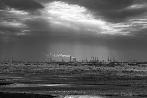 Schwarz-weiße Sonnenstrahlen über der Maasvlakte