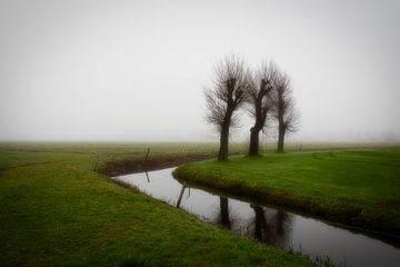 Mist en 3 bomen van peterheinspictures