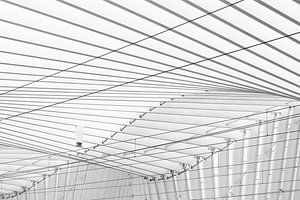 Gare ferroviaire de Reggio Emilia en Italie par l'architecte Santiago Calatrava