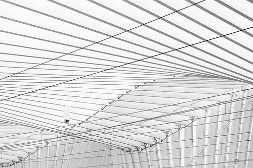 Gare ferroviaire de Reggio Emilia en Italie par l'architecte Santiago Calatrava