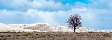 Winter Wonderland in Suhut van Roland's Foto's